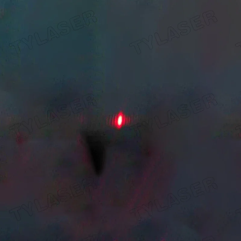 Zewnętrzny moduł laserowy TTL  – Industrial Grade Laser Pointer recenzja i cena
